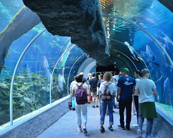 Tunel w Zoo w Łodzi, fot. ZOO Łódź / facebook.com